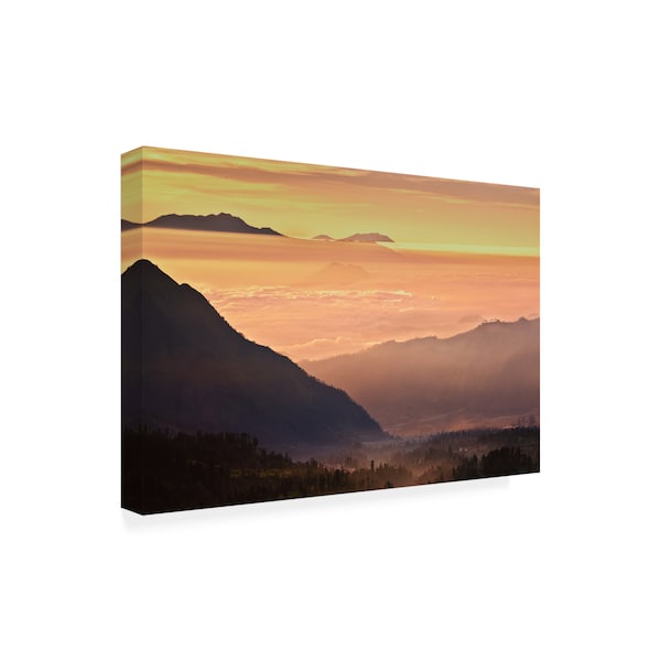 Dan Ballard 'Fog Mountains' Canvas Art,12x19